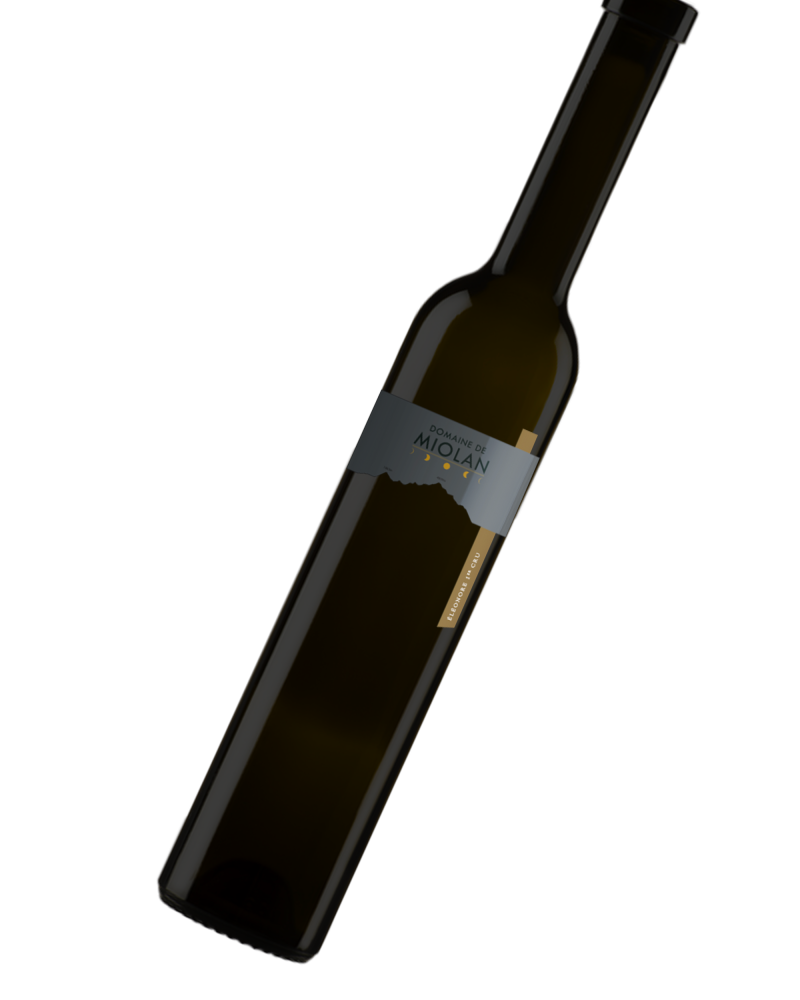 Bouteille - eleonore2.png