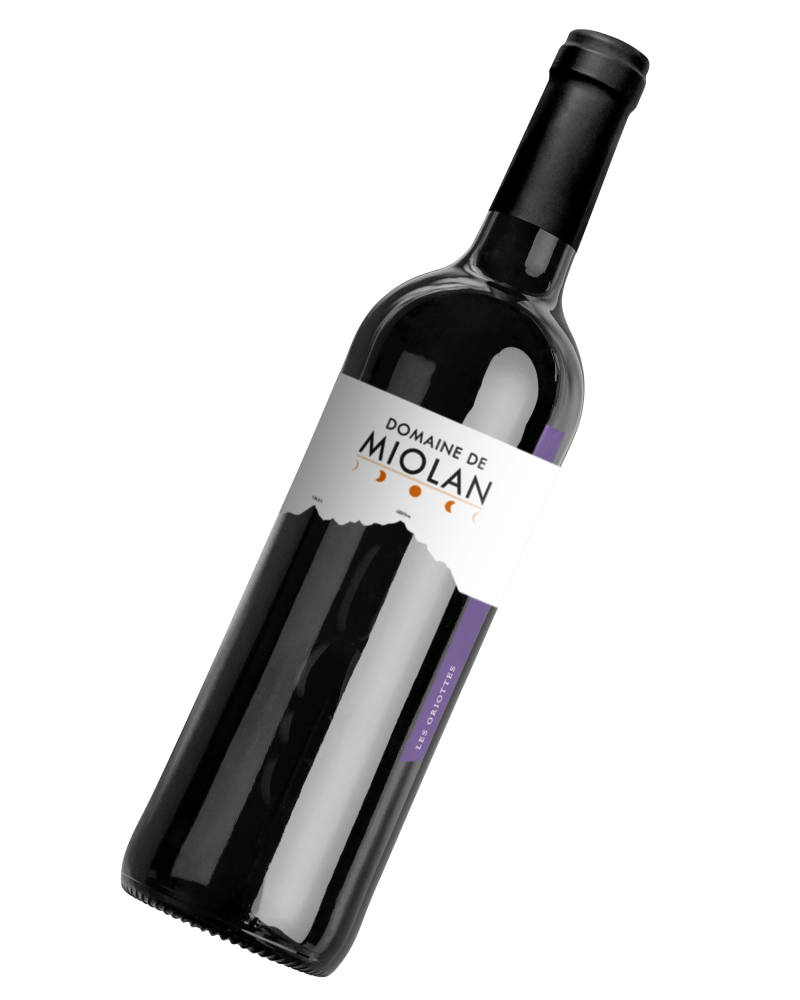 Bouteille - gamay.png