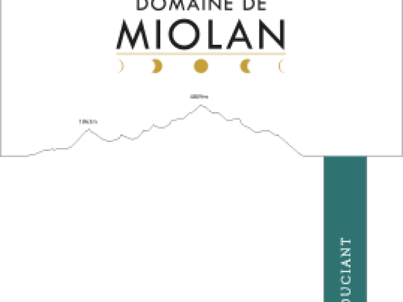 Étiquette - insouciant.png