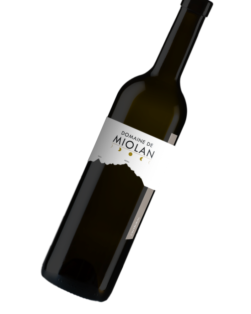 Bouteille - integral.png