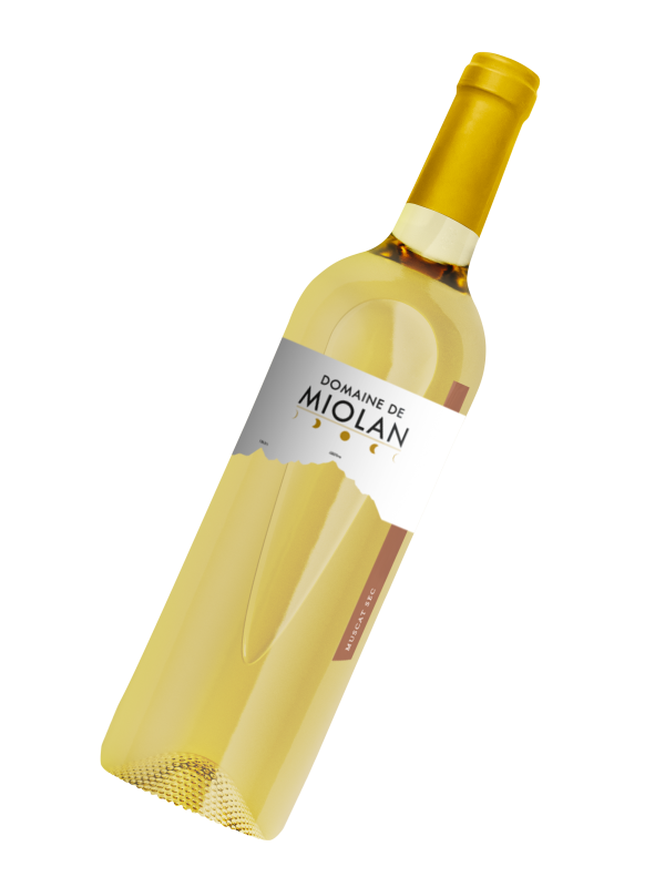 Bouteille - 