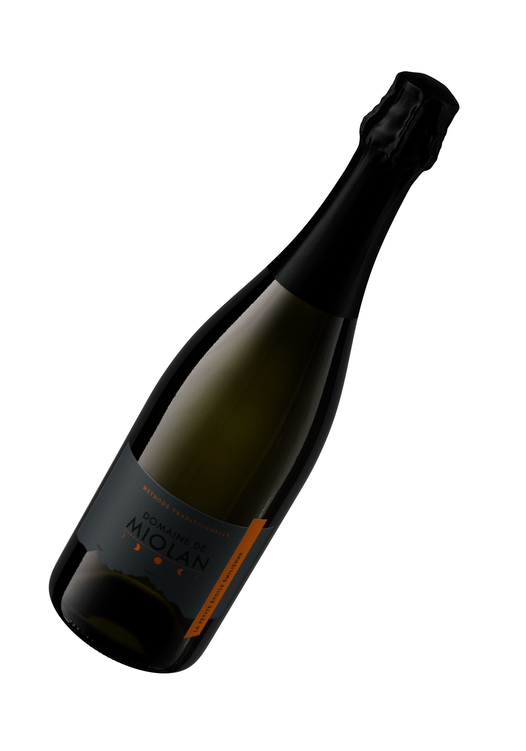 Bouteille pte-etoile-bouteille.png — Gamay, Domaine de Miolan AOC Genève