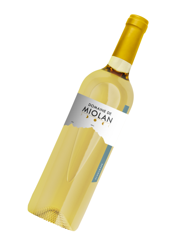 Bouteille - 
